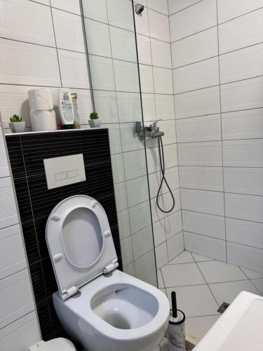 a bathroom with a shower with a toilet and a sink at Deluxe Apartments Shengjin in Shëngjin