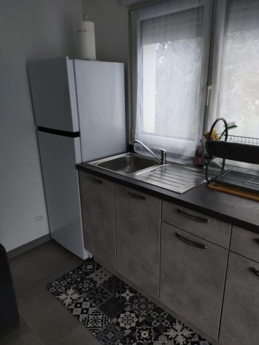 a kitchen with a white refrigerator and a sink at Bel appartement entier F1 à 5 mn de Mulhouse in Zillisheim