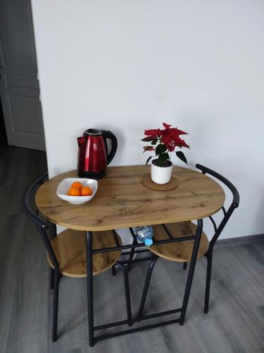 a table with a bowl of oranges and a plant on it at Bel appartement entier F1 à 5 mn de Mulhouse in Zillisheim