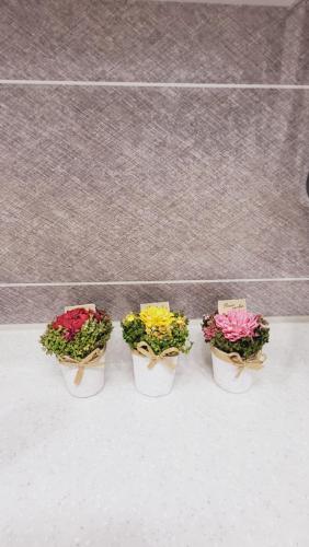 four pots of flowers sitting on a counter at Cozy spacious house in Seoul