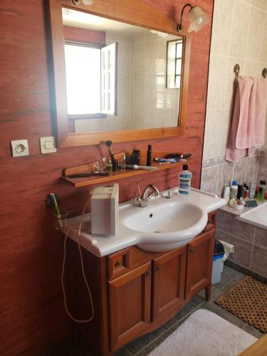une salle de bain avec un lavabo et un miroir dans l'établissement Maison familiale de charme avec piscine 6-8 personnes, à Laurens