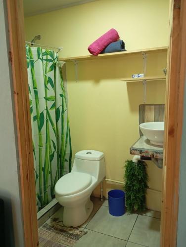 a bathroom with a toilet and a sink at Mono titi third floor in Manuel Antonio