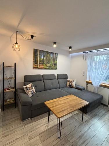 Apartament Klimatyczny z kominkiem