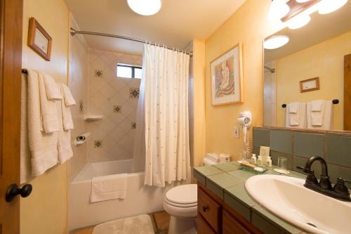 uma casa de banho com um lavatório, um WC e um chuveiro em Blue Iguana Inn em Ojai