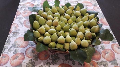 a bunch of green fruit on a table at Casa Silos in Arcevia