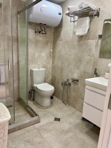 a bathroom with a shower and a toilet and a sink at New Gudauri Redco F1 in Gudauri