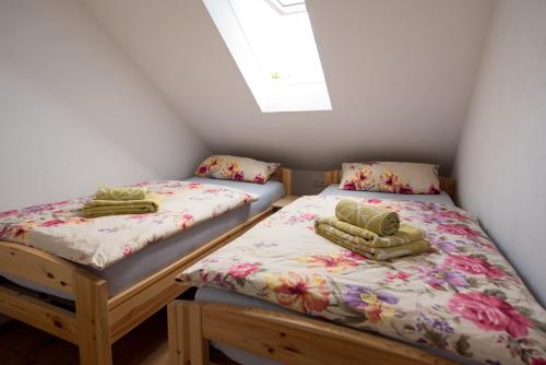 two twin beds in a room with a window at Ferienwohnung Regel in Lauingen