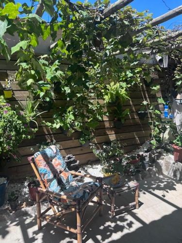 Taman di luar Quarto em condominio Ponta da Fruta