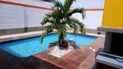a palm tree sitting next to a swimming pool at El Linaje Home in Cali