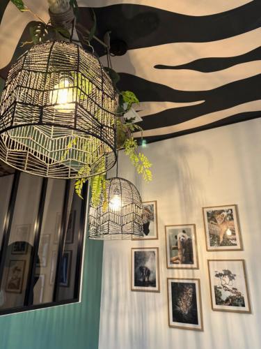 a bird cage hanging from a wall with pictures at Studio Savane - 5 min du Zoo - CLIM in Seigy