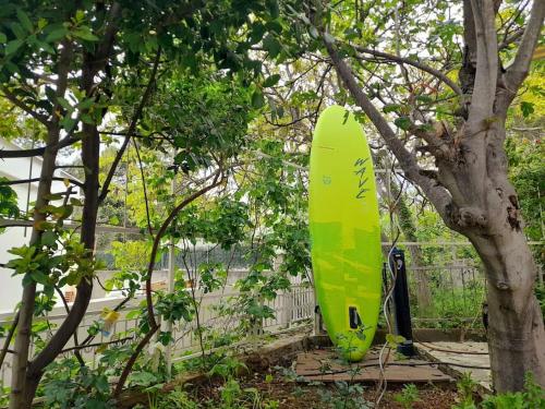 a green surfboard is sitting in a tree at Apartment near the sea in Šibenik