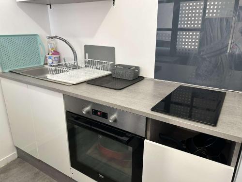 - une cuisine avec un plan de travail, un évier et un lave-vaisselle dans l'établissement SP520-I188 Appartement 2 pièces SAINT PIERRE LA MER, à Saint Pierre La Mer