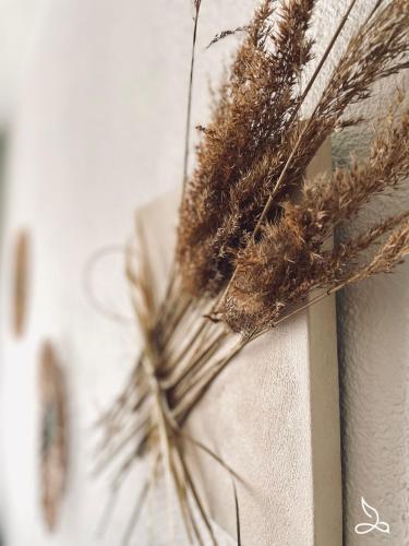 Une bande de plantes séchées sur un mur dans l'établissement Appart rdc 6pers-piscine-parking, à Fitou