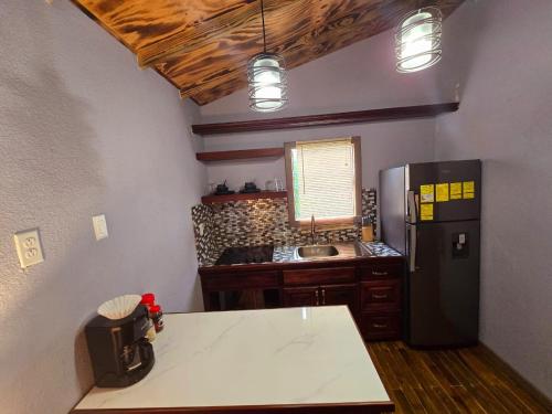 a kitchen with a table and a refrigerator and a sink at Tuquil-HA in Ladyville