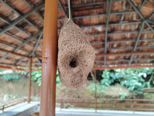 a bird nest is hanging from a pole at Shivalaya Homestay in Madikeri