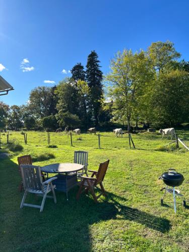 a table and chairs and a grill in a field at Brygghuset in Linköping