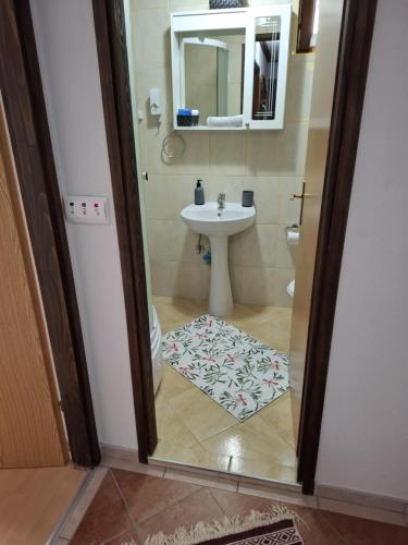 a bathroom with a sink and a toilet and a mirror at Apartments Vučko Vlašić in Vlasic