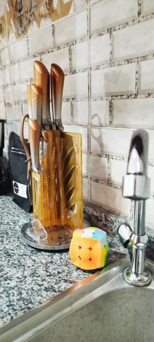 a kitchen counter with a utensil holder on a sink at Квартира Olimbe in Yaoundé