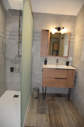 une salle de bain avec un lavabo, un miroir et une douche dans l'établissement Appartement au coeur des Alpilles, à Mas blanc des Alpilles