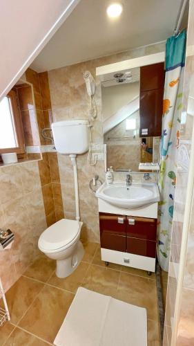 a bathroom with a toilet and a sink and a mirror at Eko Apartmani in Bački Petrovac