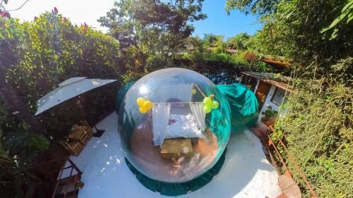 an iguanaificialificialificialificialificialificialificialificialificialificialificialificialificial at Mindo GlamBird Glamping & Lodge in Mindo