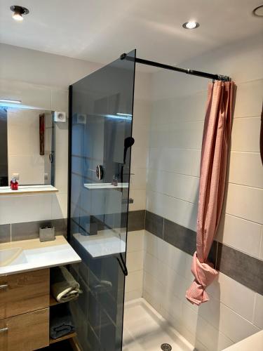 a bathroom with a shower and a sink at Cozy apartment with a relaxing terrace, 10 min from beaches and restaurants in Marigot