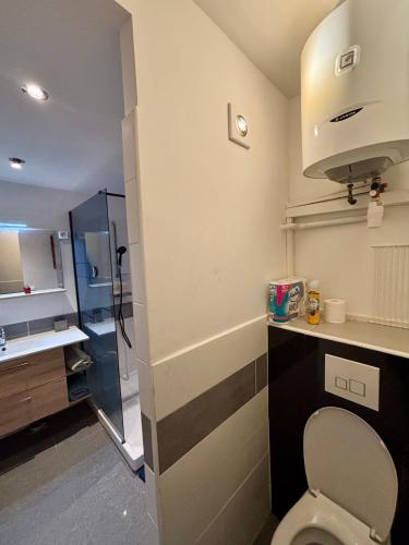 a small bathroom with a toilet and a sink at Cozy apartment with a relaxing terrace, 10 min from beaches and restaurants in Marigot