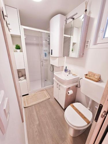a bathroom with a toilet and a sink and a shower at Sea Diva - luxury boathouse in Portorož
