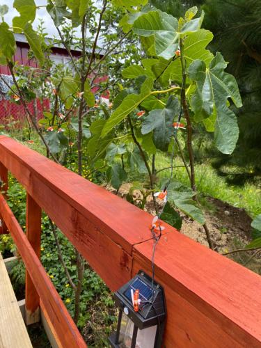 a light on a wooden fence with a garden at Cabaña entre mares Huelmo in Puerto Montt