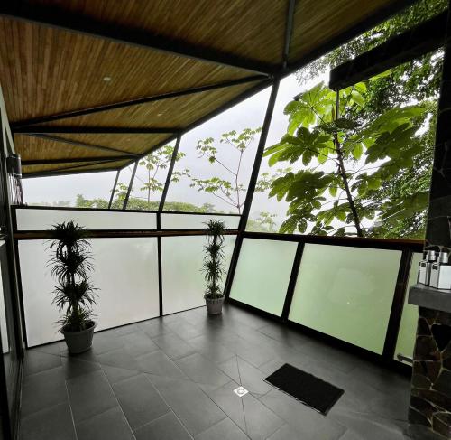 a room with potted plants in a building at Southern Drake Lodge in Drake
