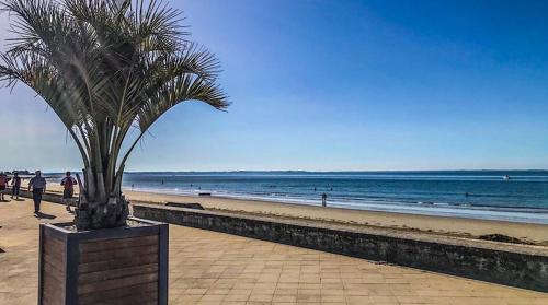 a palm tree sitting on a sidewalk next to the beach at appartement en plein centre, wifi in Questembert