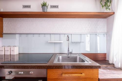 une cuisine avec un évier et un plan de travail dans l'établissement Loft d Exception au Pied des Champs-Élysées, à Paris