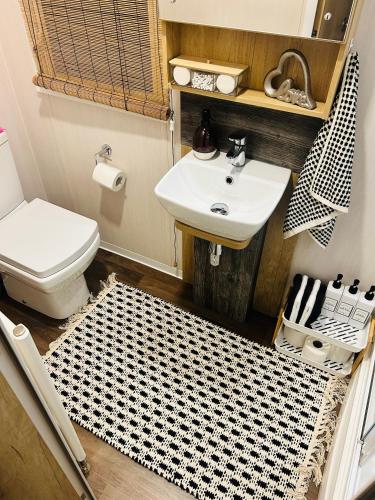 a bathroom with a sink and a toilet at Luxury Cozy Caravan at Seaton Sands in Port Seton