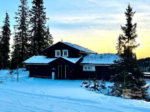 a house is covered in snow with trees at Large log cabin at Sjusjøen with sauna, fireplace and panoramic view in Ringsaker