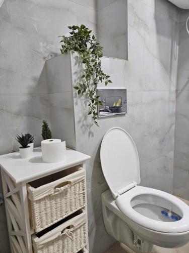 a white bathroom with a toilet and a mirror at Kota 992 in Divčibare