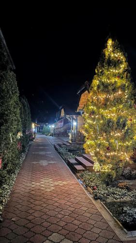 a christmas tree is lit up on a sidewalk at Eko Apartmani in Bački Petrovac