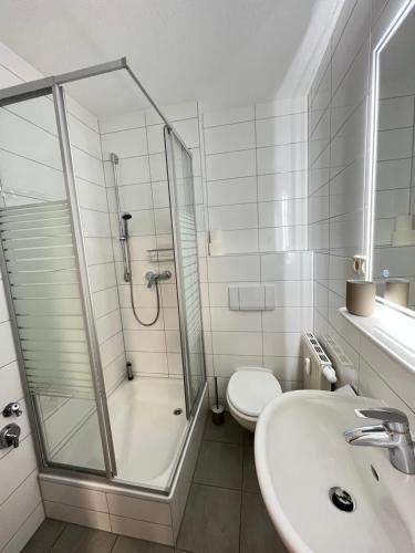 a bathroom with a shower and a toilet and a sink at Studio an der Elbe mit Balkon, Küche und Netflix in Dresden