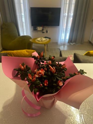 Il Nido-Entire apartment with balcony