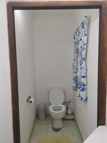 a small bathroom with a toilet in a room at Bush Cottage in Pennington