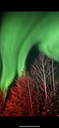 an image of the aurora borealis in the sky with trees at Whole House Aurora View with Hot tub, Sauna and AC in Fairbanks