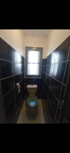 une salle de bain avec toilettes et fenêtre dans l'établissement Belle maison indépendante 3 chambres séjour à 25 minutes de Clermont-Ferrand, à La Monnerie-le Montel