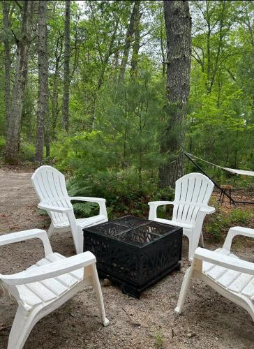 Κήπος έξω από το The Giddyup Getaway at The River Haven Sanctuary