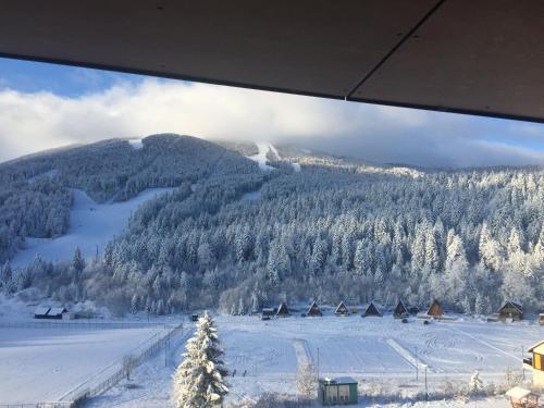 Fotografie z fotogalerie ubytování Apartman SkiCentar Bjelašnica v destinaci Bjelašnica