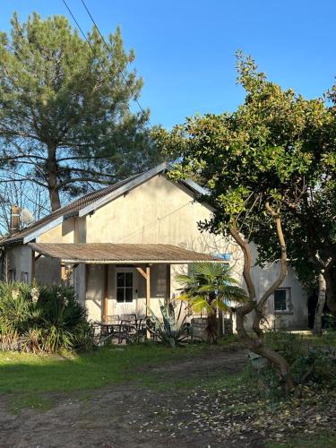 Séjour plage en tribu, Maison Étoile Pascale Confort convivialité, proximité mer À 5 min de la plage de Trojan les Bains, Parfait pour week-end ou vacances en groupe