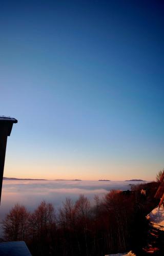 a view of the sun rising over the clouds at Ramondia, Kopaonik in Kopaonik
