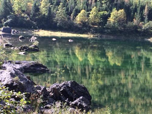 a body of water with trees in the background at Hallstatt Hideaway - Adults only in Hallstatt