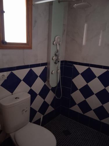 a bathroom with a toilet and blue and white tiles at Morada El Rincón in Villanueva de los Infantes