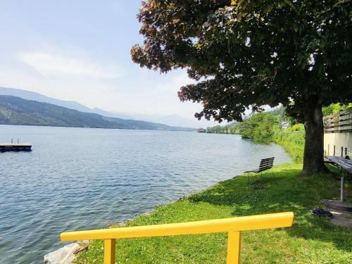 a yellow bench next to a lake with a tree at Pension Sedlak in Millstatt