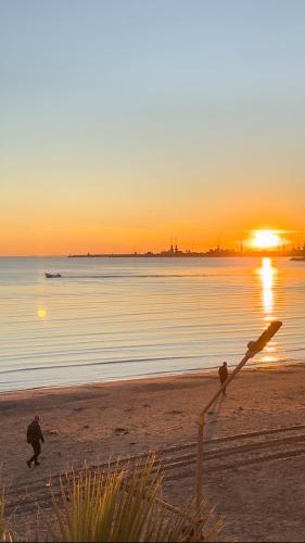 Beach Front Superior Apartment Green forest