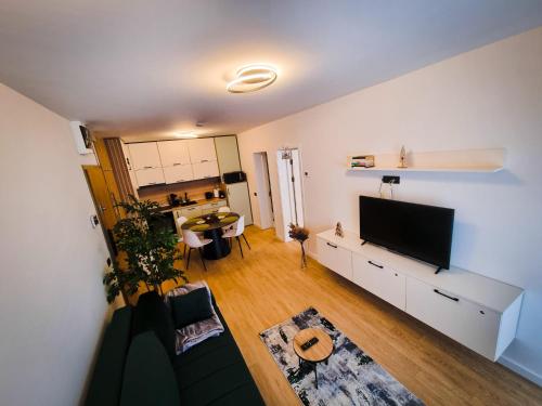 ポイアナ・ブラショフにあるCozy Retreat Grand Chalet Aparthotelのソファと薄型テレビのあるリビングルーム